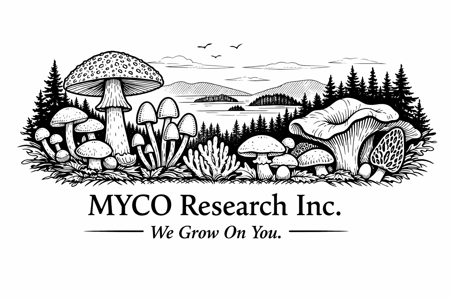 MYCO Research Inc. — We Grow On You